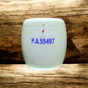 緬甸白玉(玉石類)A12