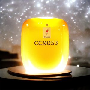 伊朗橙玉骨灰罈(玉石類)01
