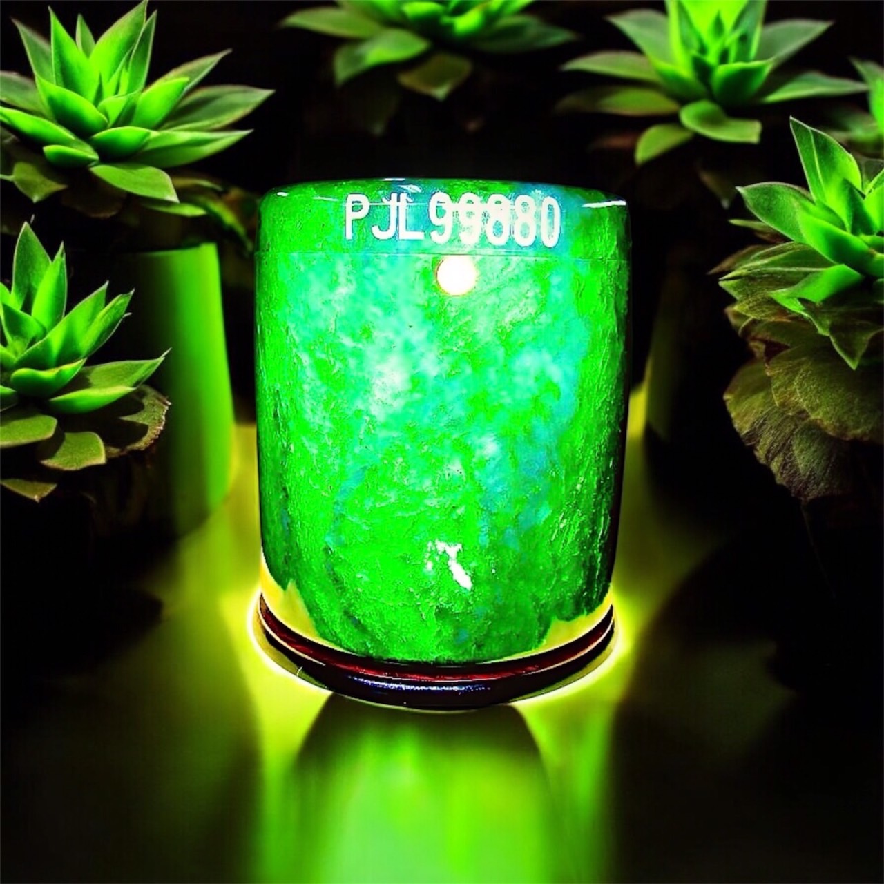 加拿大碧玉33