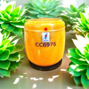 黃晶玉骨灰罈01
